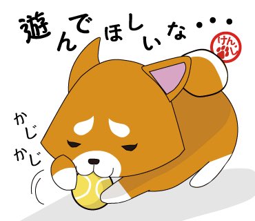 Twitter 上的 キザキヤ ホワイトボードアニメーション 柴犬けんじ君 遊んでほしいな いね ワンコ わんこ 柴犬 しばいぬ しばけん 日本犬 猫 イラスト イラスト可愛い イラストかわいい らくがき 落書き アナログ おえかき 絵 ガリ子 Lineスタンプ