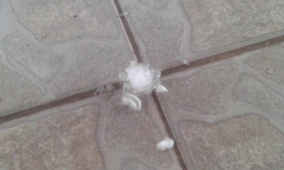 jmd_mendoza's tweet image. @Canal9Televida Terrible manga de piedra en #LUNLUNTA