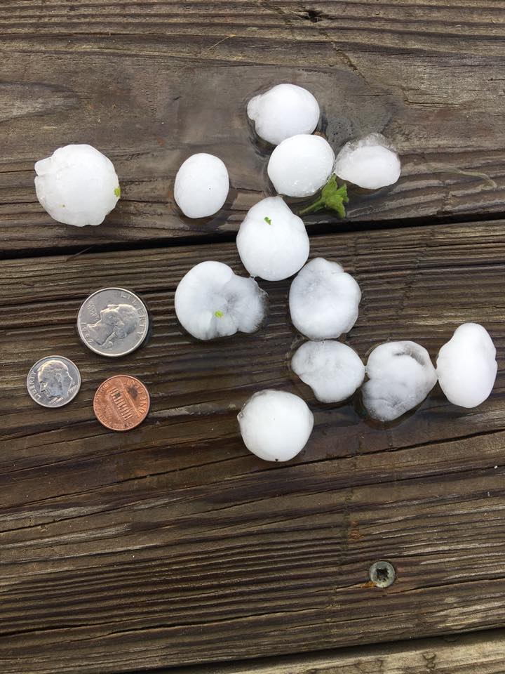 koconews's tweet image. #KOCOFirstAlert: Photo by Scotty Rossman in Seminole.