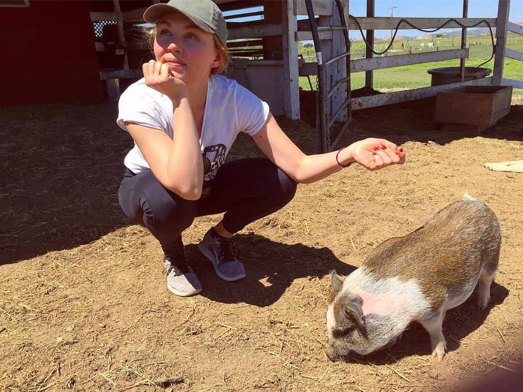 kjaynebecker's tweet photo. More later about visiting @capabilityranch, but in the meantime.... my new friend Iggy. 😍 https://t.co/yCn9p08MmX