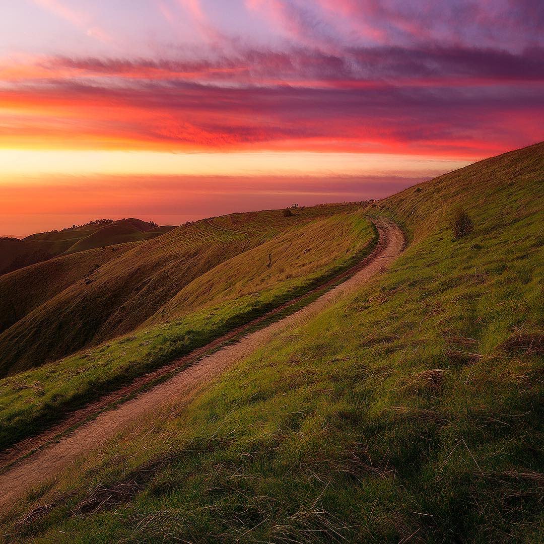 Expedition tweet media