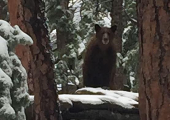 Mitchell Byars tweet media