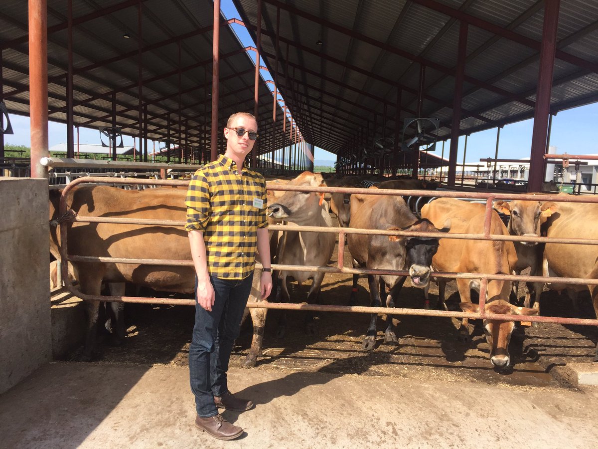 Beautiful day out <a href="/HilmarCheese/">HilmarCheeseCompany</a> and Valsigna Dairy with @SVForum #AgTech Tour