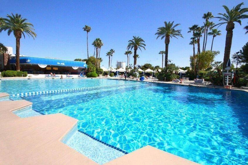 HorseshoeVegas's tweet image. It's time to dive in! Pool season has officially begun in #Vegas.