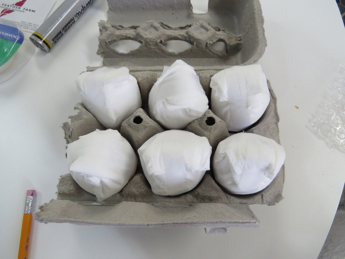 Redfeatherfowl's tweet photo. Learn how we pack our #hatchingeggs to beat the #chick competition. We also have #chicksforsale as they #hatch. https://t.co/WTwn27ayAC https://t.co/bCxSIs7ReP