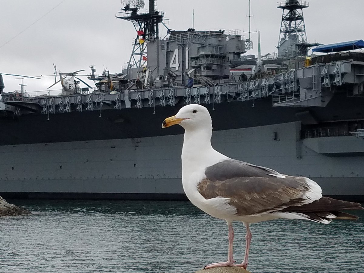 ckubat's tweet photo. Photobombed while taking a picture of The Midway! https://t.co/EVjFJrgpV6