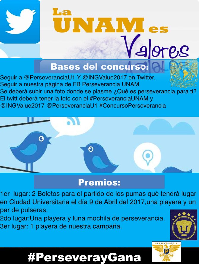 PerseveranciaU1's tweet photo. Aquí están los requisitos para el concurso. #ValoresUNAM #PUMAS #INGValue2017 @INGValue2017 https://t.co/PtDcGYOLDh