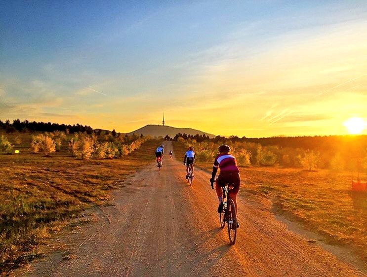 It's on tomorrow #pandaroubaix 6am from behind QT. PBR shout for coffee! #allwelcome <a href="/phoenixcycle/">Phoenix Collective</a> <a href="/tiffencycling/">Tiffen Cycling Team</a> <a href="/ANUCycling/">ANU Cycling</a> <a href="/OnyaCanberra/">OnyaBike Canberra</a>