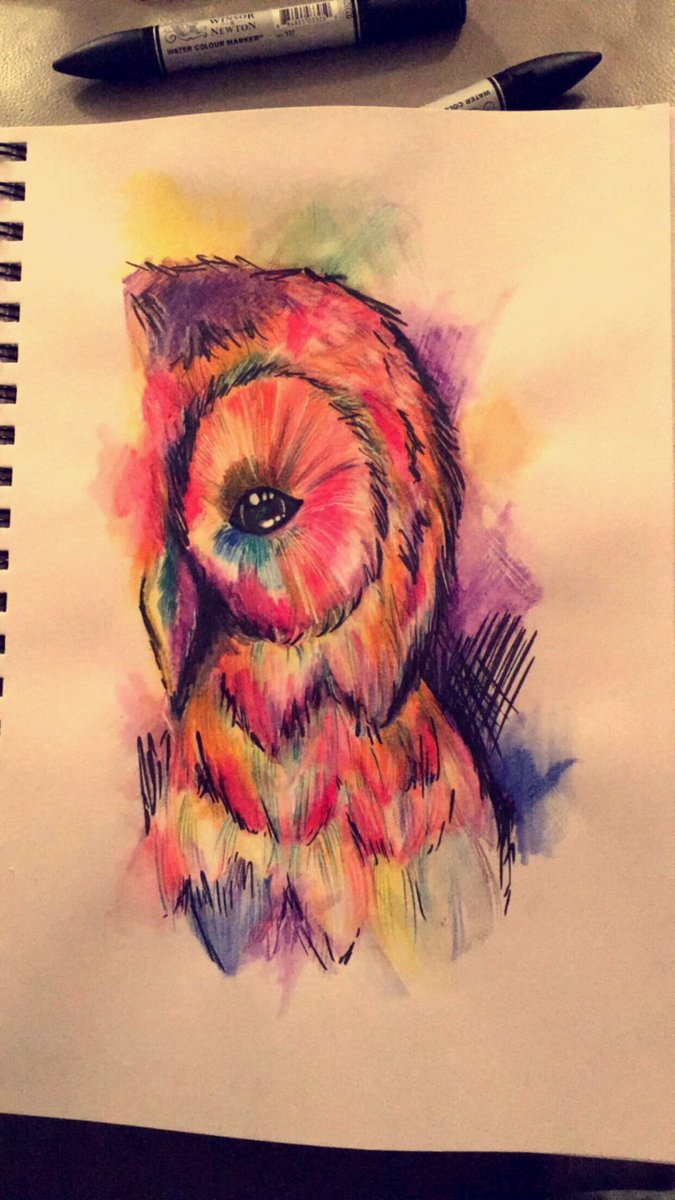 JemmaaB's tweet photo. Long day. #owl #owlsie #owldrawing #drawing #watercrayon #colour #colourful #gayowl #longday https://t.co/RtZ1pHgenO