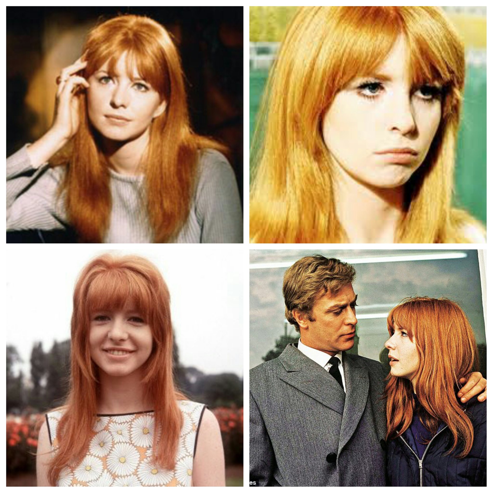 Jane Asher is 71 today, Happy Birthday Jane! 