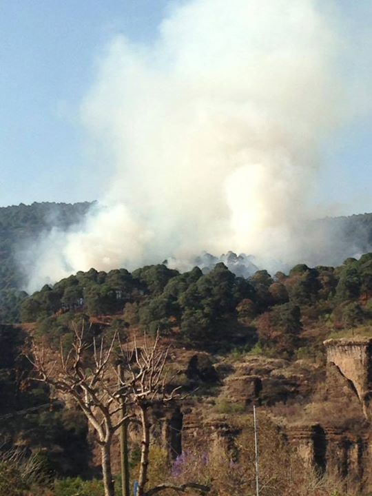 FJDTepoz's tweet photo. #Alerta #incendio #Tepoztlán #Ocotitlán Para aquellas personas que gusten apoyar con comida para los brigadistas q… https://t.co/QONM0pbCHo https://t.co/q1X7bKkn6n