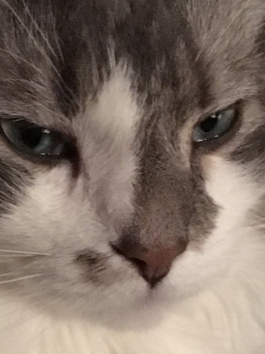 Heather Close tweet media