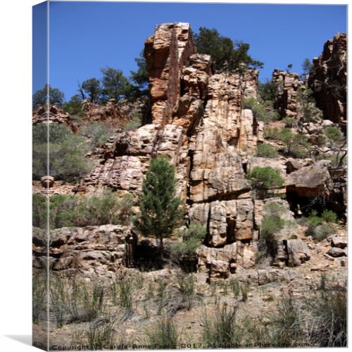 CaroleAnneCAF's tweet photo. I have a new piece of art for sale on https://t.co/V2L3kyOyfS please share and like. https://t.co/Lgpda7qvox #landscape#Australia#photo https://t.co/93YfSUxLvO