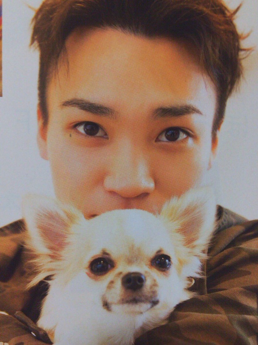 moka8nika6's tweet photo. にかのHAPPYBIRTHDAYまでに806RT目指します!👍👍
自担なので成功させたい!🙏🙏
協力お願いします🙇
#俺足族さんRT
#他G担の人もRT
#自担なので成功させたい!
#806RT https://t.co/dsZla6LbLy