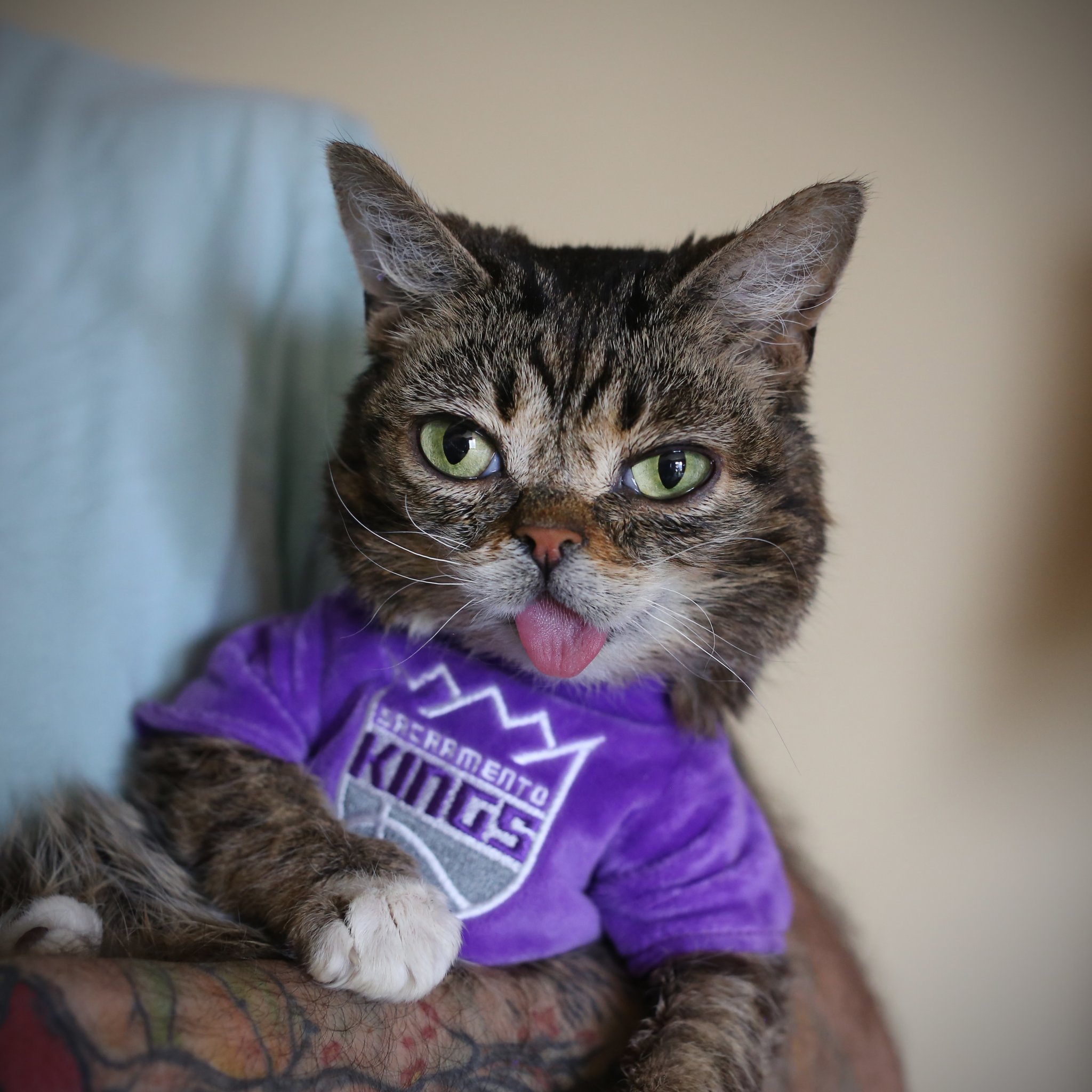 C8nSBBOXkAA2FMo.jpg:large