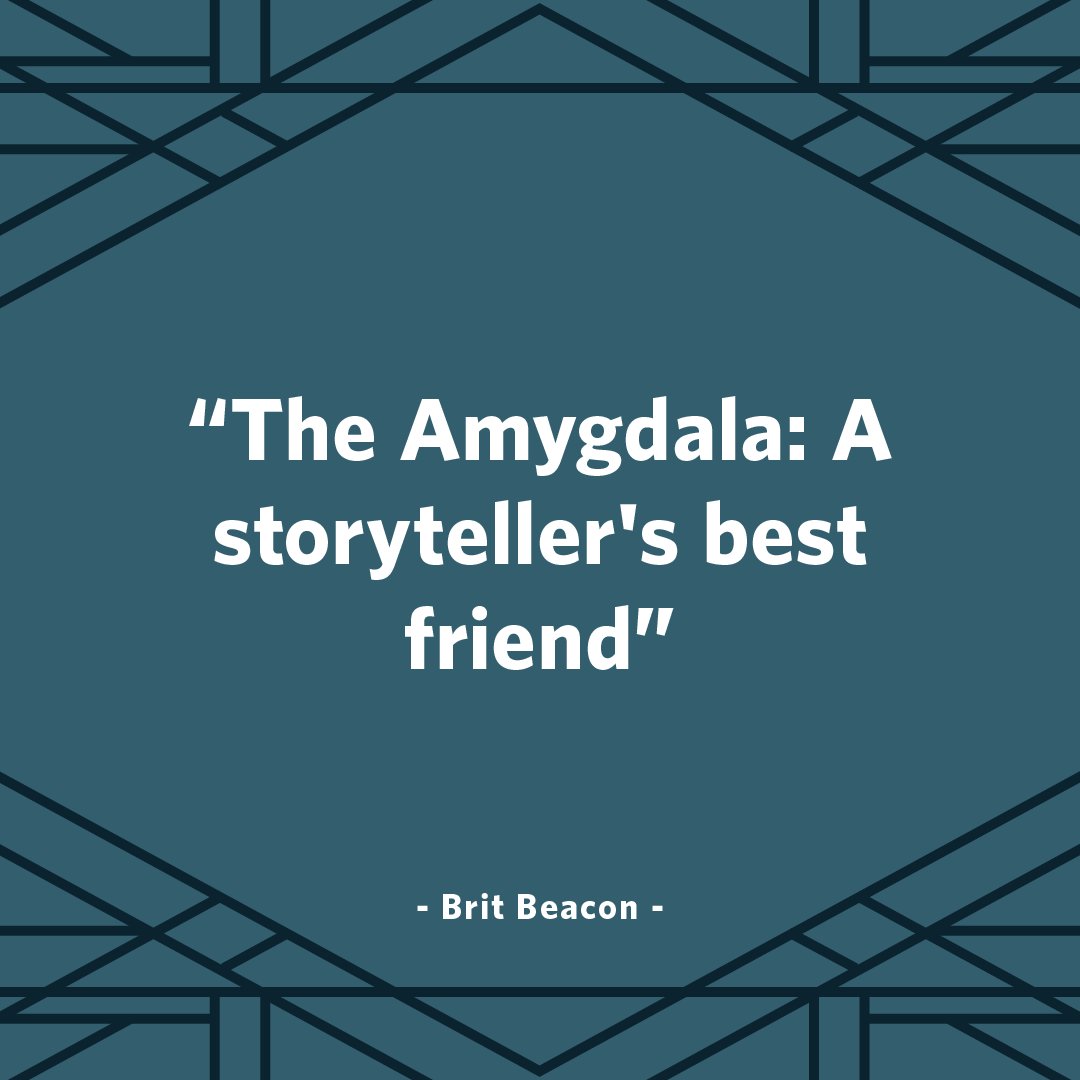 MetaMythicCo's tweet photo. Storytellers love them some amygdala! The two most powerful almond-shaped groups of nuclei in your brain! https://t.co/YK6J3KASIE