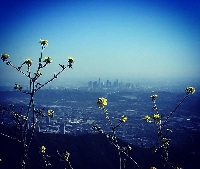 corncobbwilson's tweet photo. #loveboat Some of the hardest climbs have the most rewarding views! Loving spring in Los Angeles so far :-) #beaudryloop #VerdugoHills https://t.co/G71Q3K4e53