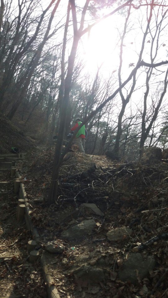 성남시에서는 봉오재에서 이수봉등산로에 쓰러진 고사목을 제거하여 등산을 하시는 시민들에게 안전하고 쾌적한 등산로를 제공하고 있습니다.<a href="/yooyhwan/">유영환(柳永煥)</a>,@kgs95,<a href="/you5834/">유미열</a> ,<a href="/lees100/">lonnie lee</a>