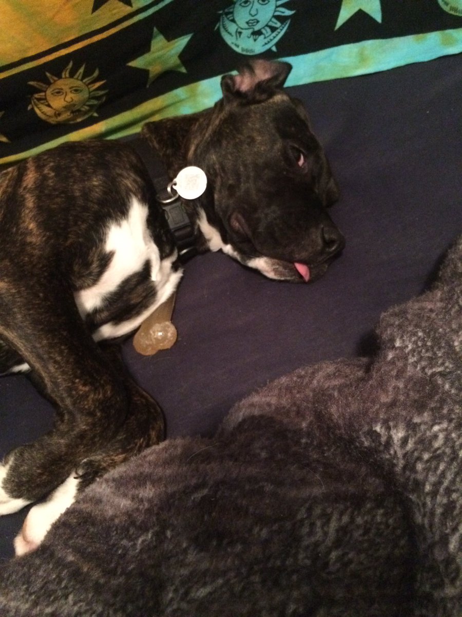 JesseMattnsn's tweet image. i wonder if she has any clue how happy she makes me, how much she means to me or how much i love her ...