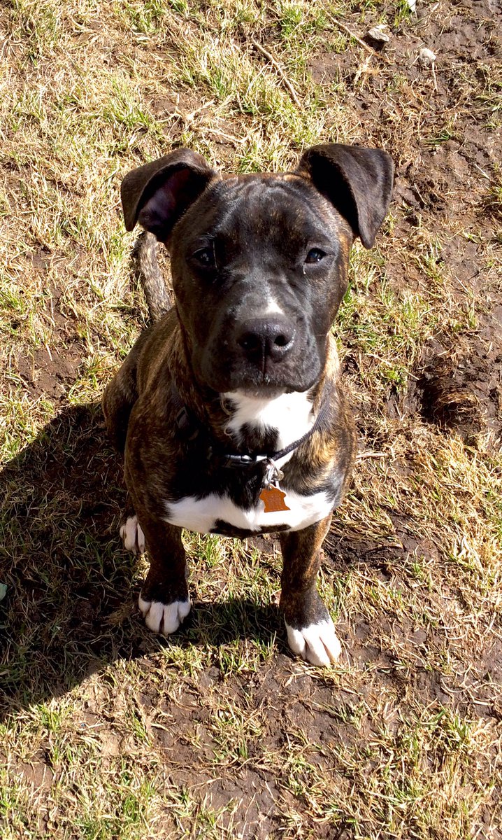 JesseMattnsn's tweet image. i wonder if she has any clue how happy she makes me, how much she means to me or how much i love her ...