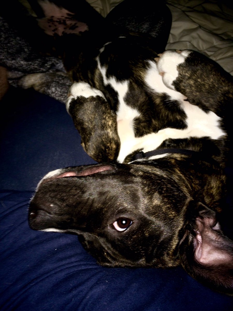 JesseMattnsn's tweet image. i wonder if she has any clue how happy she makes me, how much she means to me or how much i love her ...