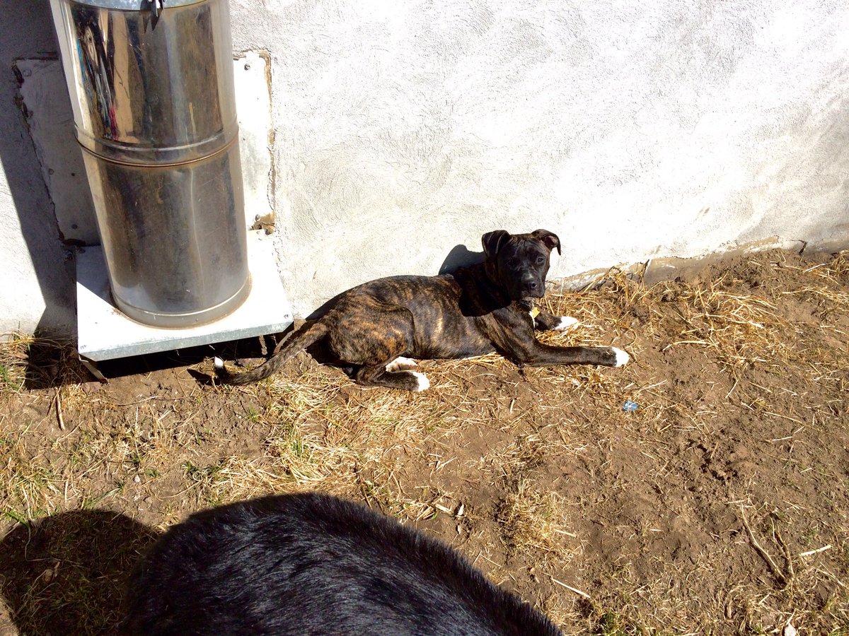 JesseMattnsn's tweet image. i wonder if she has any clue how happy she makes me, how much she means to me or how much i love her ...