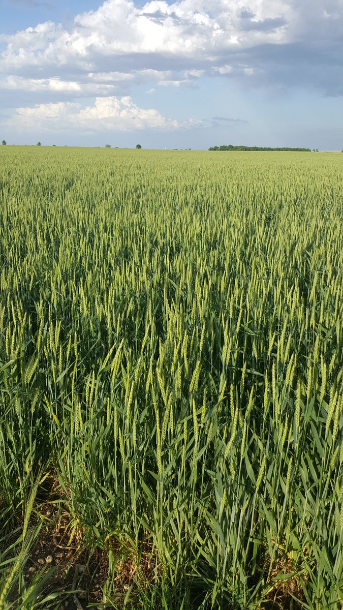 Jonathan Teich (jwadt22_teich) Twitter