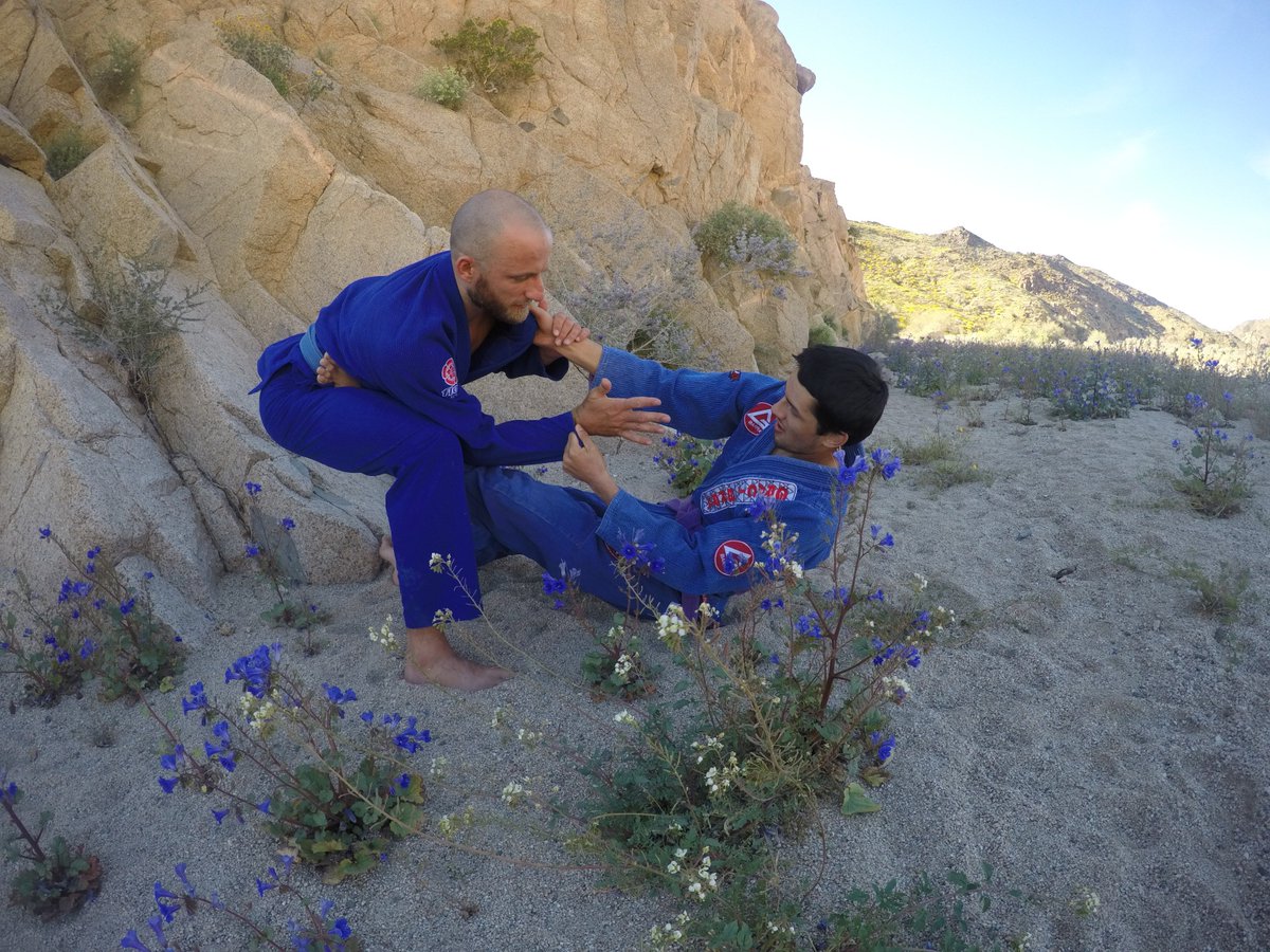 TheJiuJitsuMonk's tweet photo. Jiu Jitsu in Joshua Tree National Park @FindYourCoast @FlowKimonos #jiujitsumonk #bjjlifestyle #JiuJitsu #flowkimonos #athlete #Joshuatree https://t.co/1GteLj2EKh