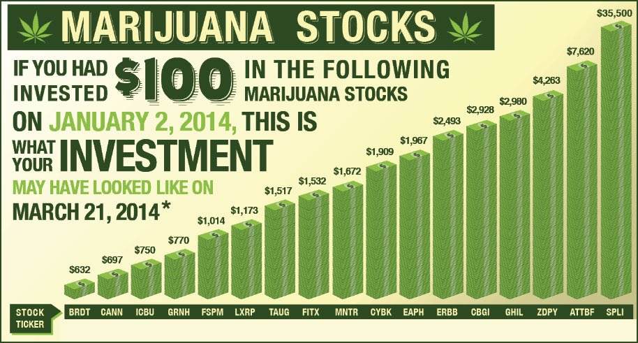 DomainPluto's tweet photo. Try this, invest in a Marijuana domain https://t.co/Ys3yXzToD4 🔥😤😙💨🍃🍂 https://t.co/g2Jv1vBI6r