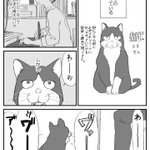 一体どうすれば？ビビりな猫の扱いは苦労するかも!