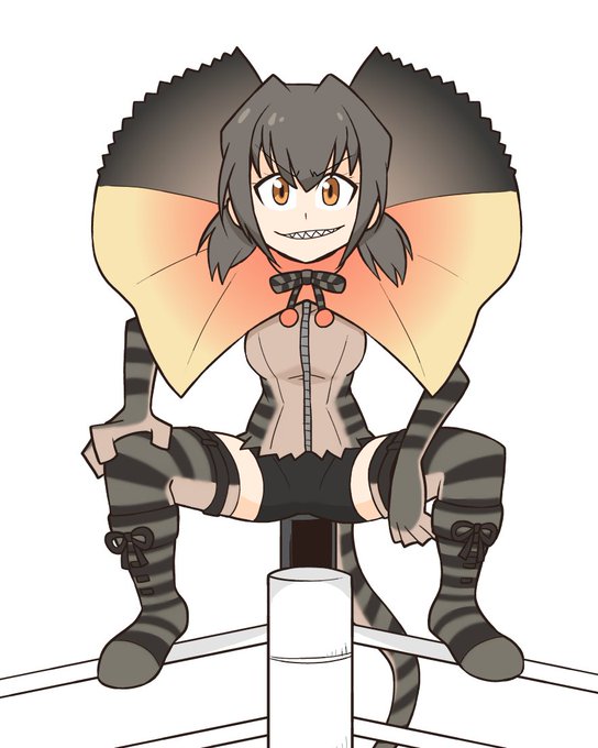 トカゲの中でも最もおそろしいエリマキトカゲさん 