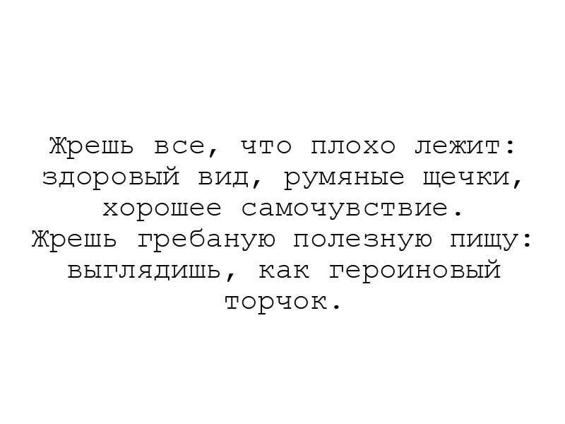 То что плохо лежит. Взять что плохо лежит. Плохо лежит. Взять что плохо лежит. Котики на корпоративе.