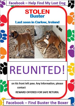 Boxer_lab's tweet image. #Buster is home! Thank you for your support 😁@DogTAGMids @LostboxUK @LostboxIRL @petsarefound @OneStopAllDogs @DogTheftAction