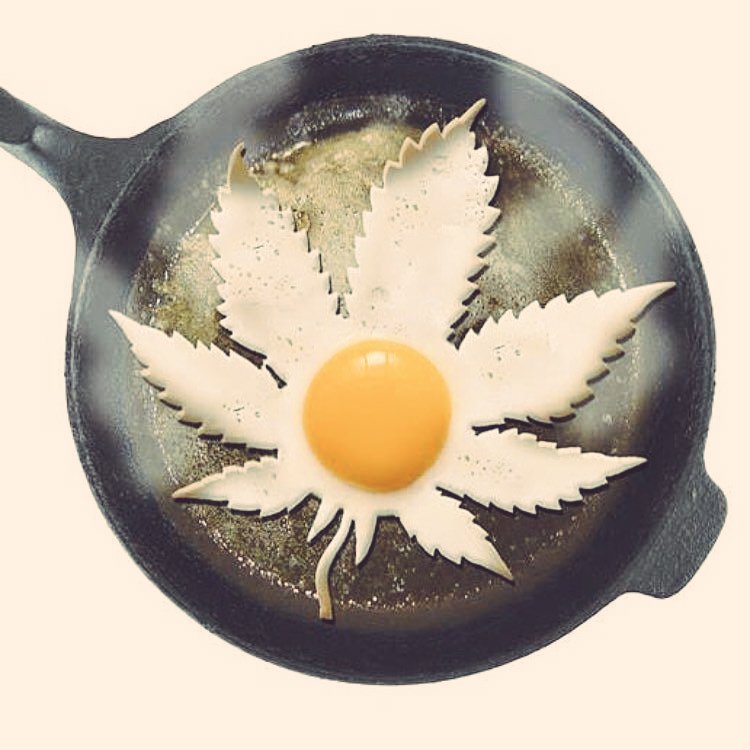 Armingastly's tweet photo. Who wants a sunnyside Weed #marijuana https://t.co/XrZSEeZhJU
