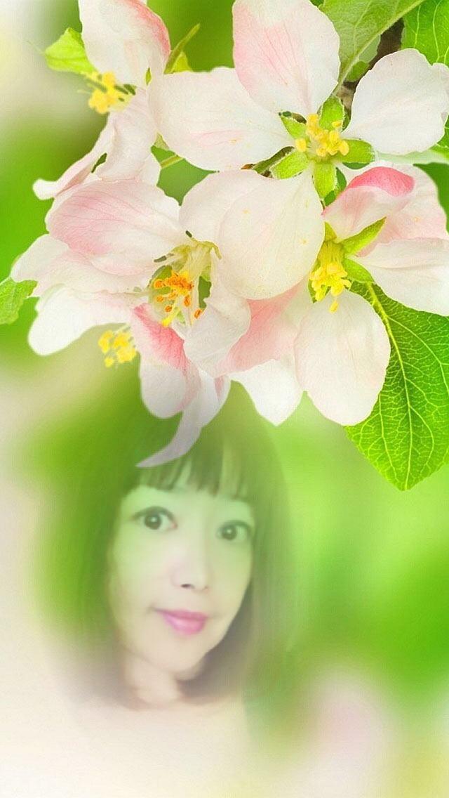 ksthm7414280's tweet photo. 早く満開の桜の花が見たいなぁ https://t.co/rSwJGlhVd4