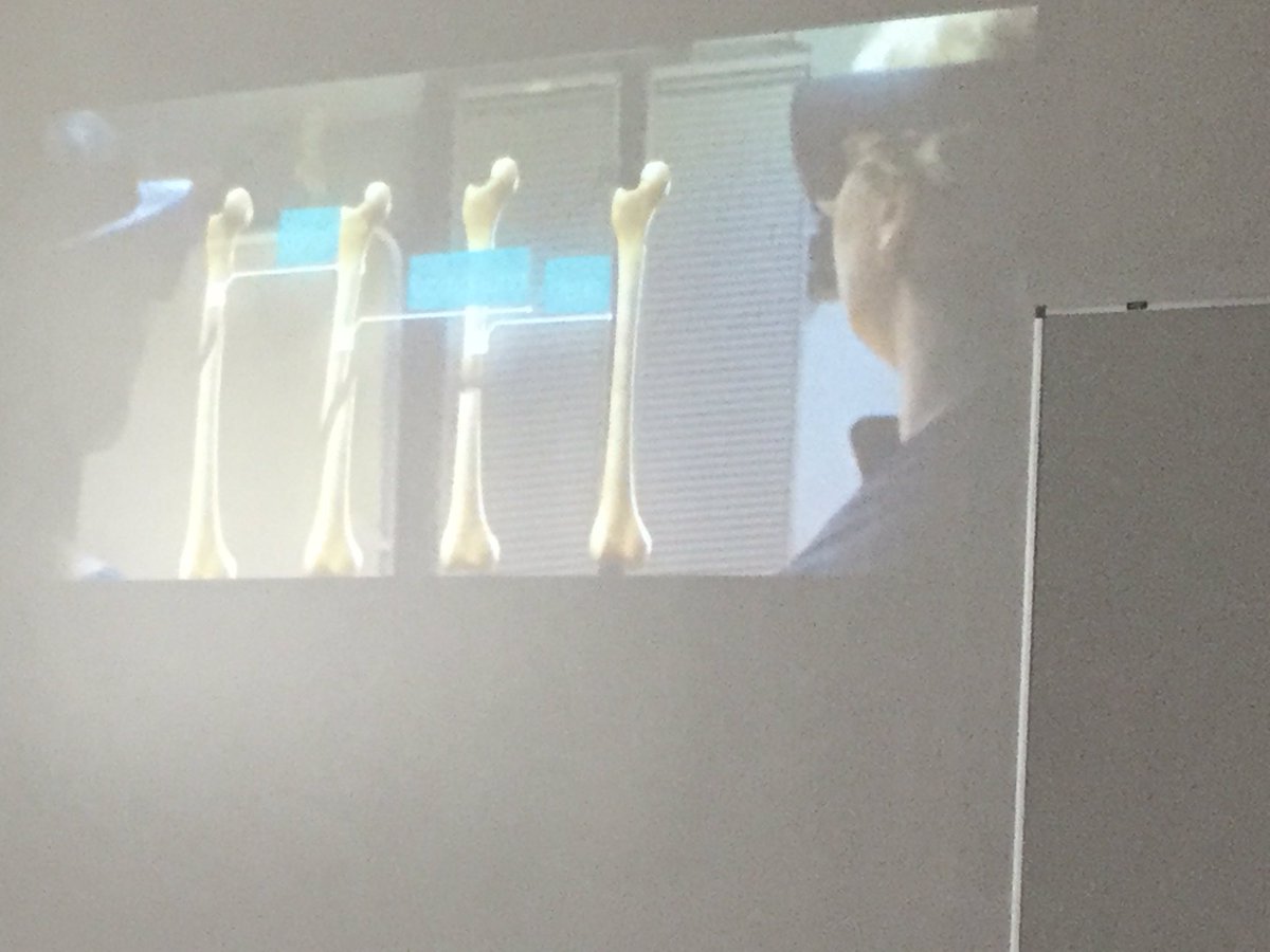 carinaginty's tweet photo. @dpmc0371 @GMITOfficial demos @CaseWesternRe using #microsofthololens in #classroom transforming #studentlearningexperience #teaching https://t.co/WwMllKPhDZ