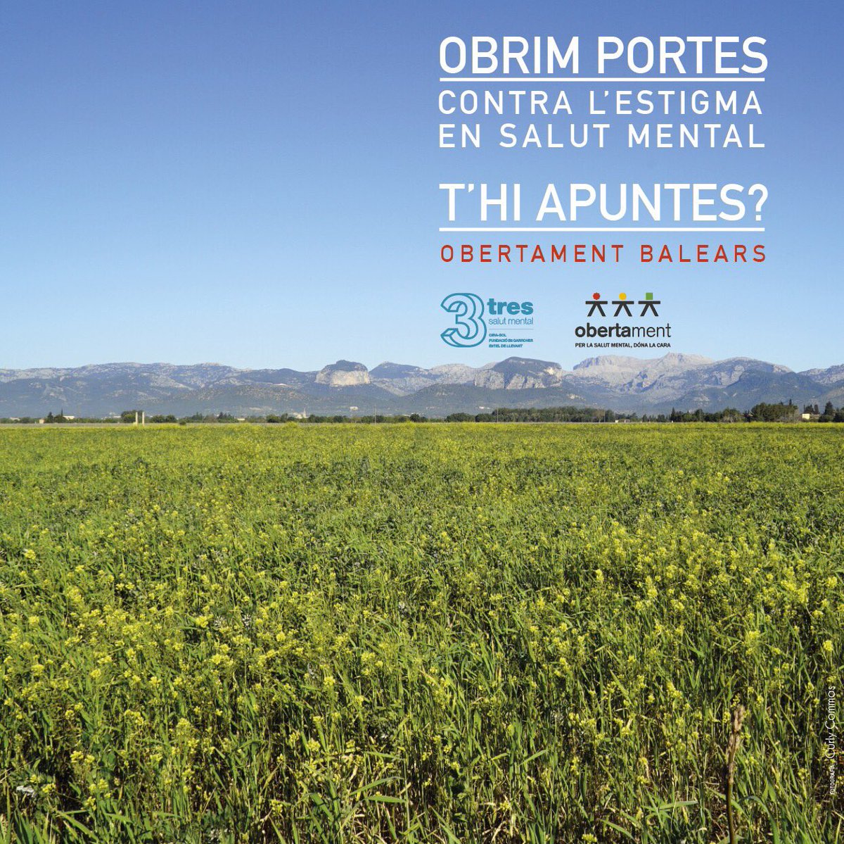 curlycommas's tweet photo. El primer pas: "no amagar-se'n". 1/4 persones pateix o patirà algun problema de #salutmental #obertamentbalears   @3SalutMental https://t.co/B8HjRGcI3t