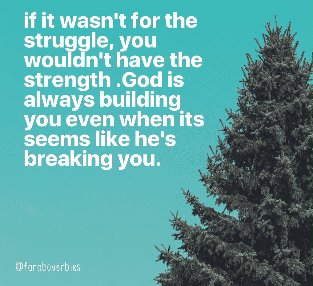 faraboverbies's tweet photo. https://t.co/6pG9aW5Is6