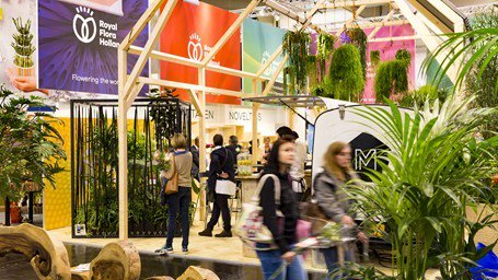 Come and visit the Royal FloraHolland spring fair!

For more information, check our website! 
flowercompanies.com

#flower #FloraHolland
