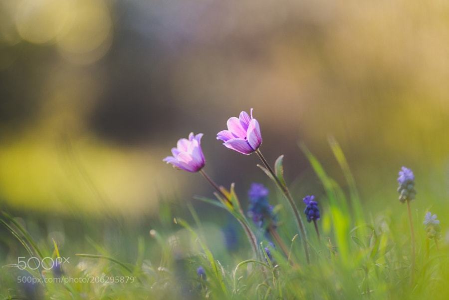 Randallr75's tweet photo. #Photography | *_* | #PhotoOfTheDay #Travel #Photo https://t.co/gdKrCw3Ezd