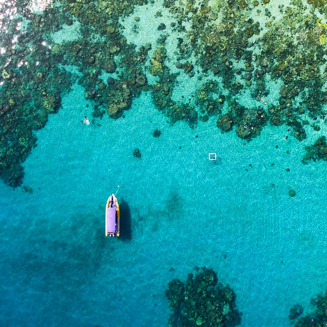 Queensland's tweet photo. How's your day going? Here's how we're kicking back in #Queensland! Keep sharing your 📸 with us 👉 #thisisqueensland https://t.co/wO5c6KO5IG