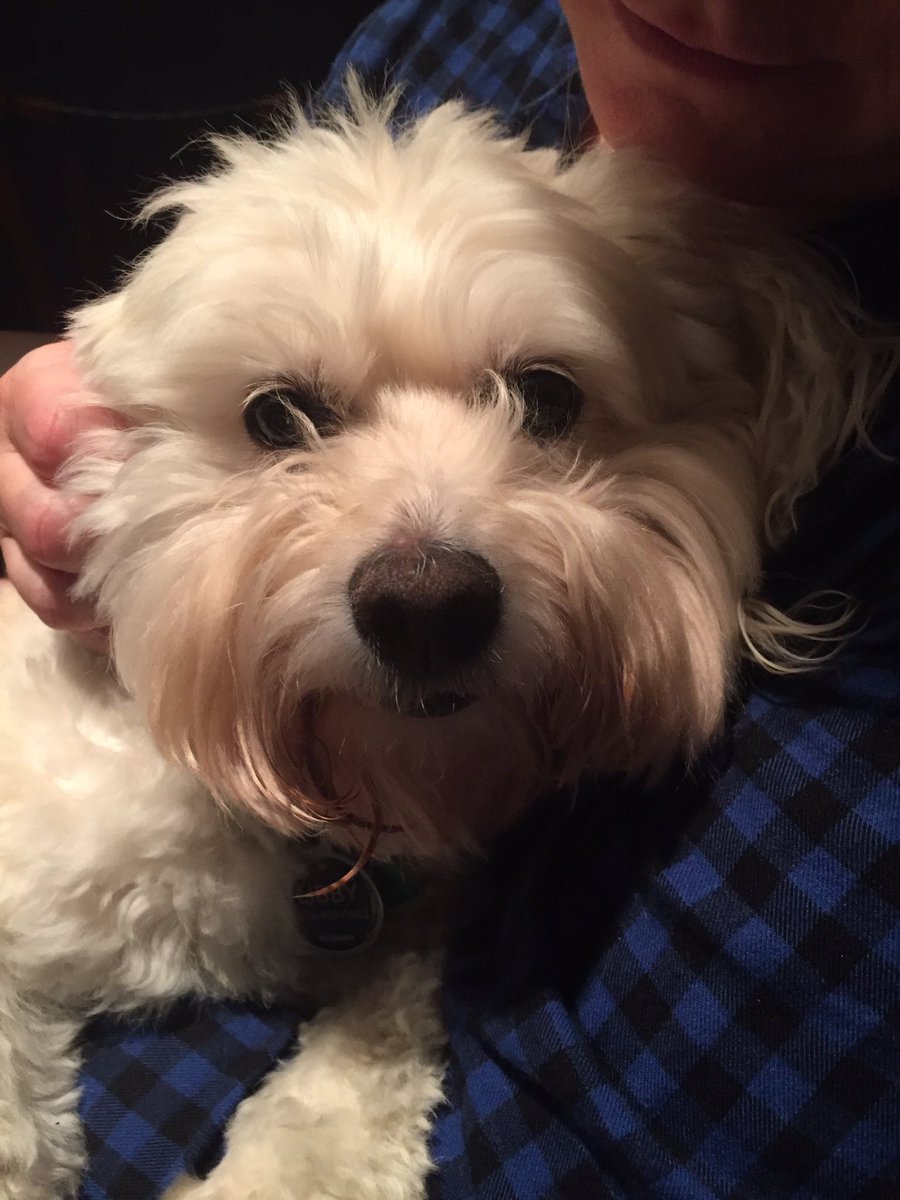 When ever you feel sad just look at this face. #lovelibby #lovelibbymoretganrylee #libbysbff <a href="/rystou/">Rylee Stoulil</a>