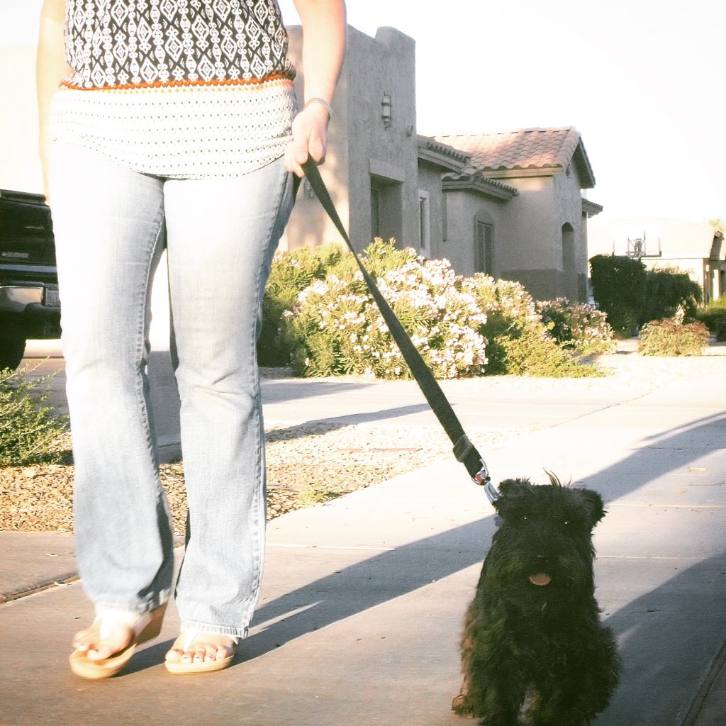 ProactiveNutra's tweet photo. Happy #NationalWalkingDay Take your favorite friend with you too. #ProActiveNutra #GetHealthy #HealthyLife #FitnessMotivation #GetOutside https://t.co/m2rijWDZQv