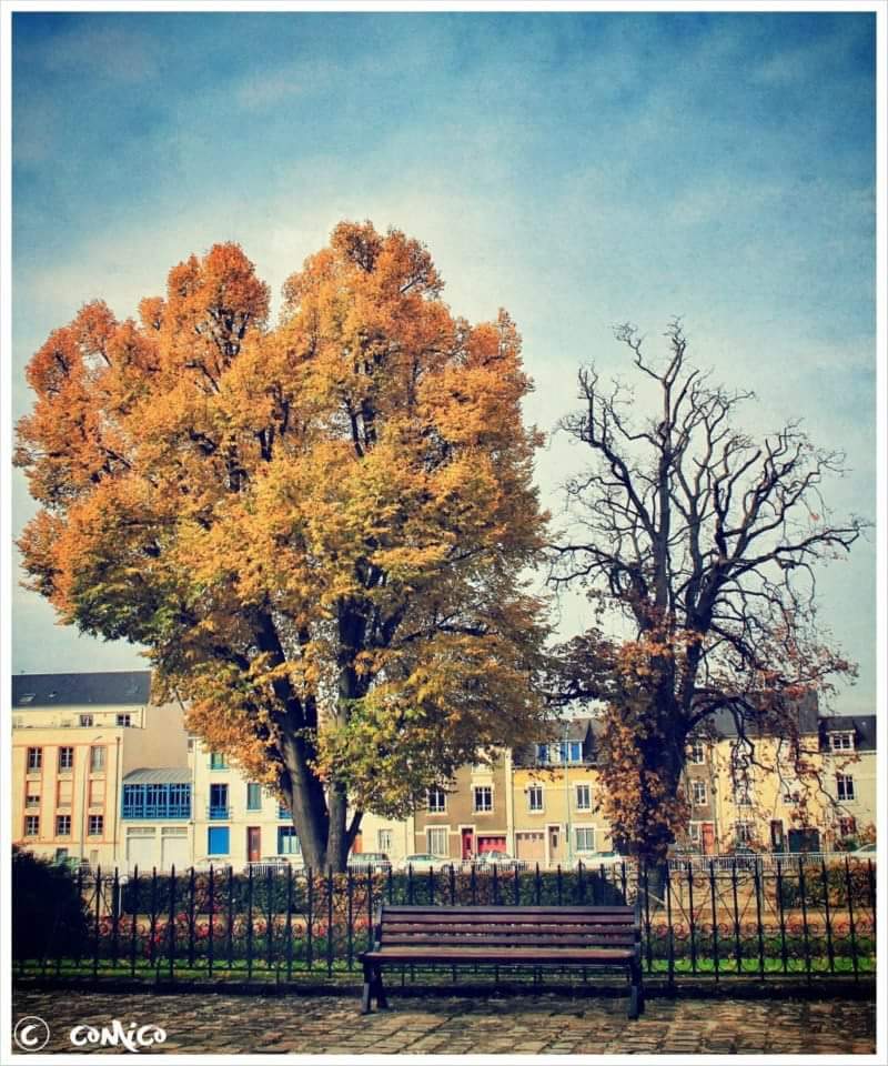 ComicoTweet's tweet image. Comico_foto #Downtown #LeMans #Sarthe #France @sarthefr @sarthemagfr @lemainelibre @OuestFrance72 @mavillelemans @nature