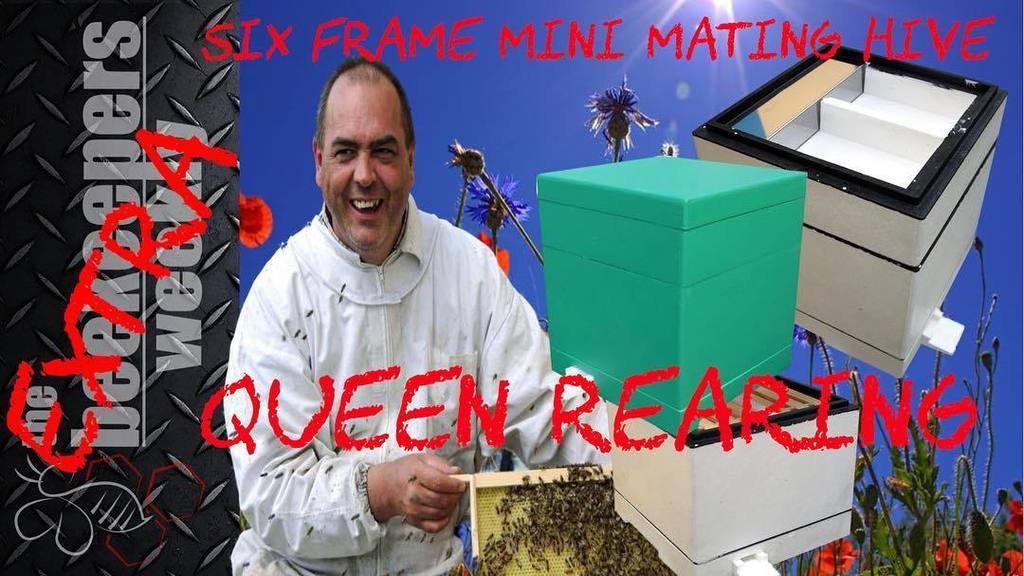 TheBeeMan2's tweet photo. Continuing our Queen rearing week on YouTube see our profile for YouTube link #bee #bees #queenbee #apidea #youtube https://t.co/wp2RcZeCGQ https://t.co/1GedV4uUPB