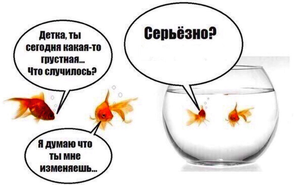 Приколы про аквариумных рыбок