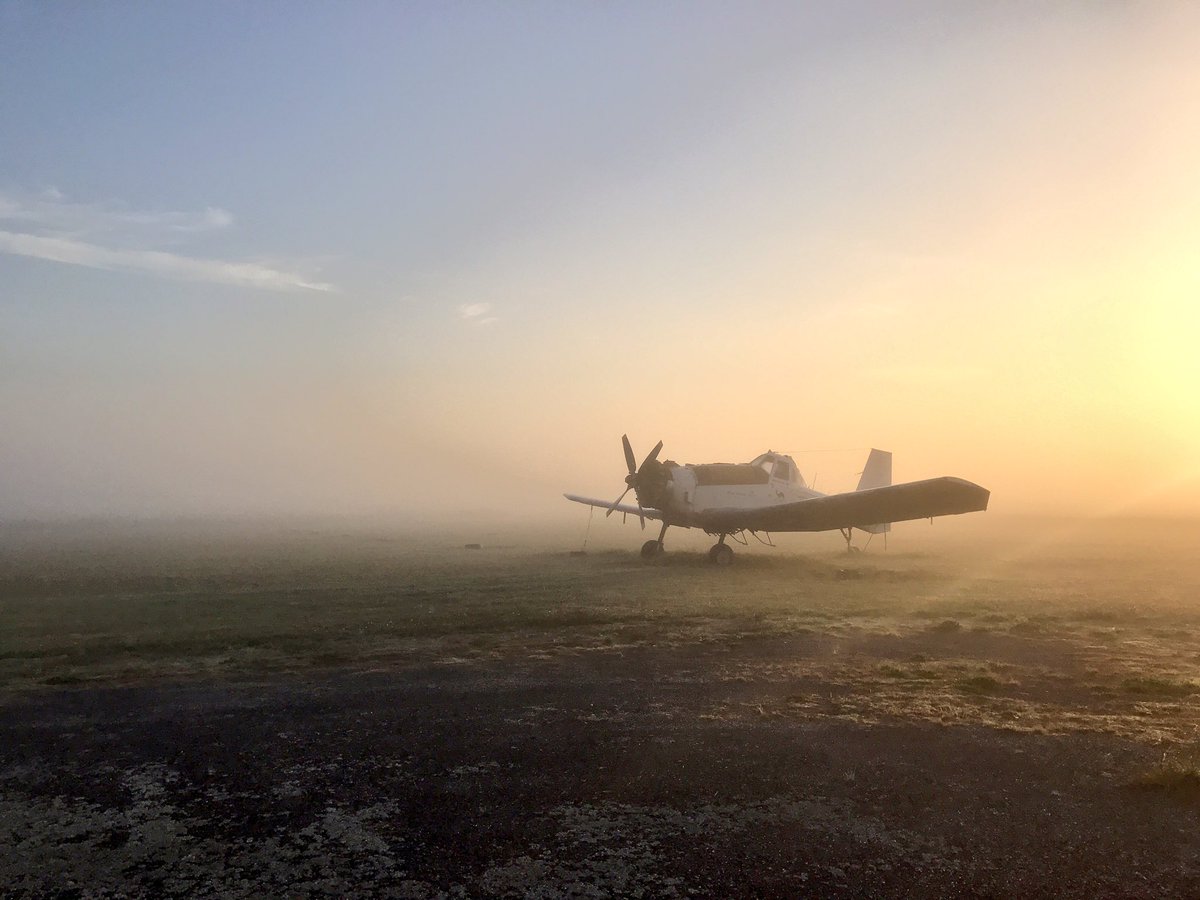 jamesphward's tweet photo. Cool start to the day! #randomplane https://t.co/74DQ3wfkB2