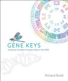 buy an energy analysis of household consumption changing patters of direct and indirect