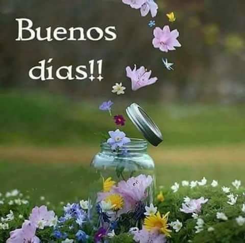 Buenos días 😘😘😘