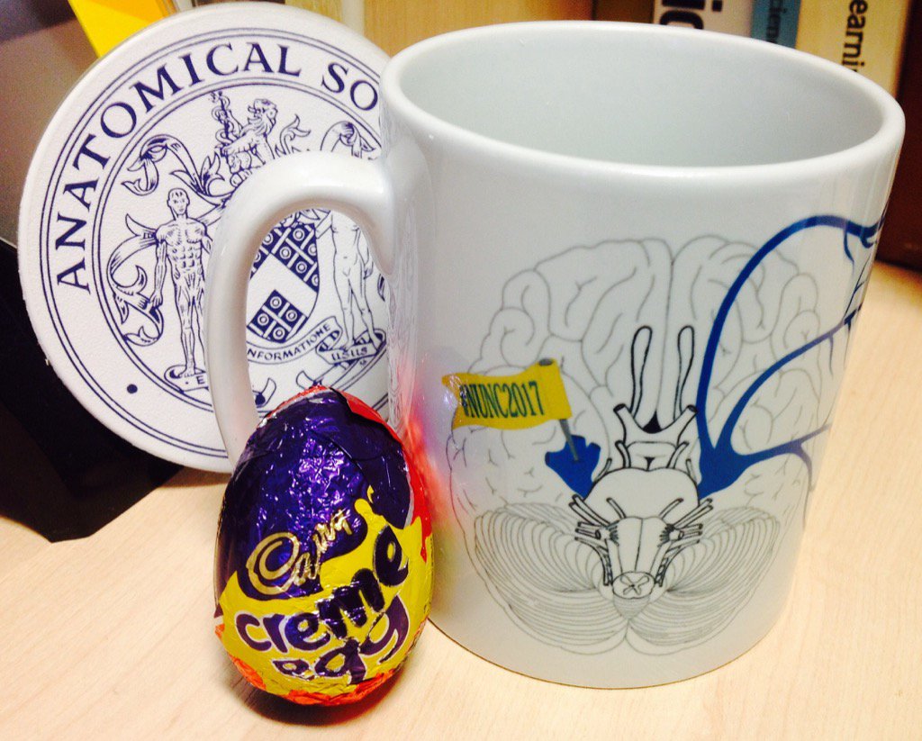 Creme eggs help u perform better at #nunc2017. I have no evidence but we live in a post factual society so it's ok!